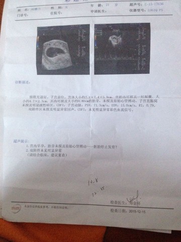 journal_insert_pic_362655250