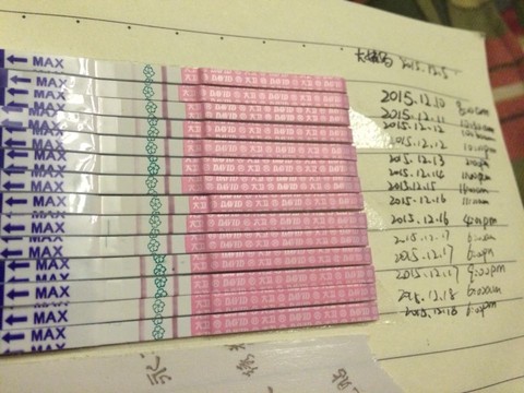 journal_insert_pic_364298729