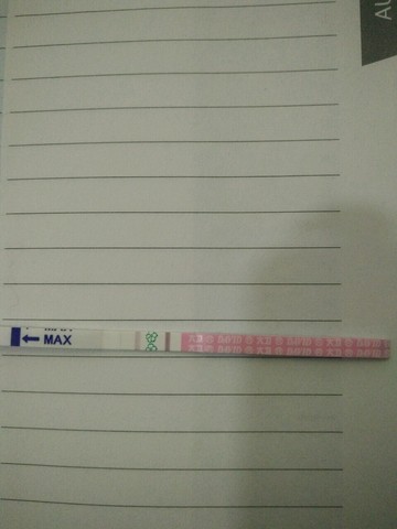 journal_insert_pic_370329258