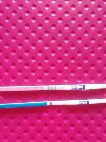 journal_insert_pic_370374739