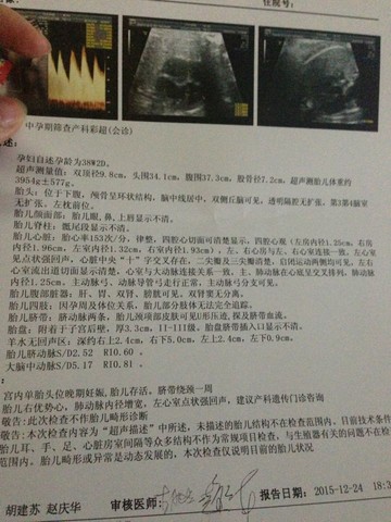 journal_insert_pic_370030297