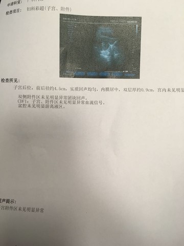 journal_insert_pic_375338719