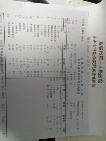 journal_insert_pic_376010940