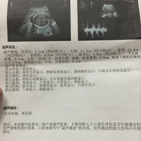 journal_insert_pic_378089995