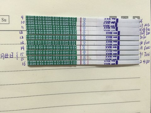 journal_insert_pic_377981138