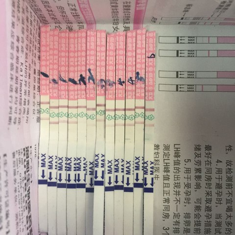 journal_insert_pic_377822282