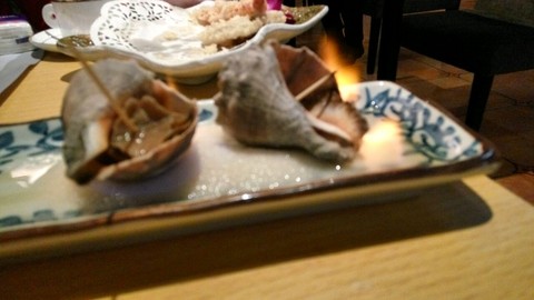 journal_insert_pic_377975984