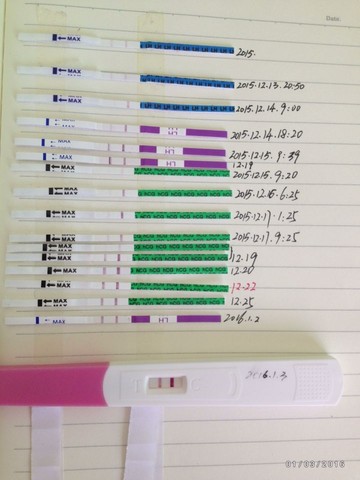 journal_insert_pic_378560091