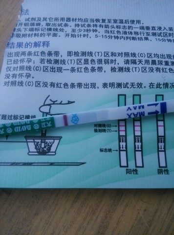 journal_insert_pic_379387791