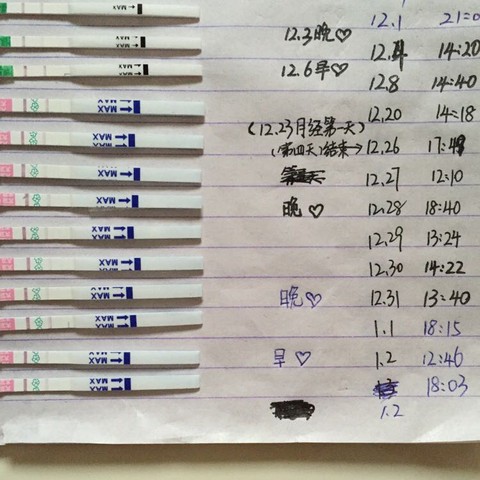 journal_insert_pic_379714126
