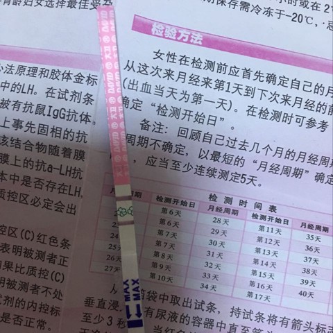 journal_insert_pic_380838292
