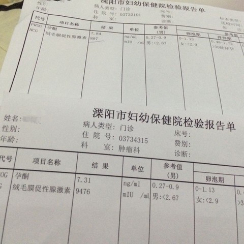 journal_insert_pic_381002377