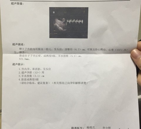 journal_insert_pic_380750352