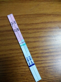 journal_insert_pic_380817916
