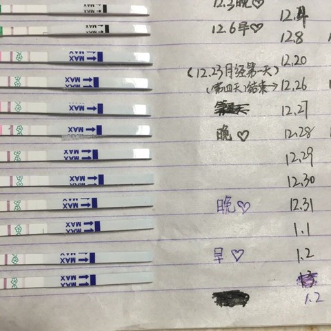 journal_insert_pic_380560653