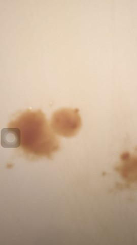 journal_insert_pic_381193894