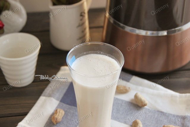 九阳豆浆机做花生露图片