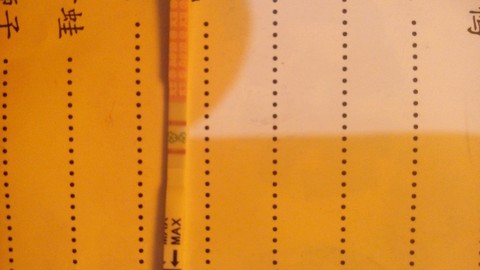 journal_insert_pic_383282624