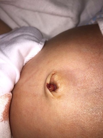 journal_insert_pic_384397911