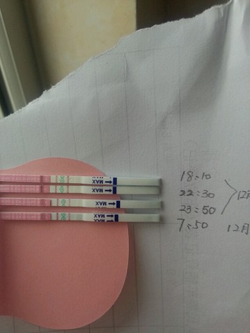 journal_insert_pic_384469745
