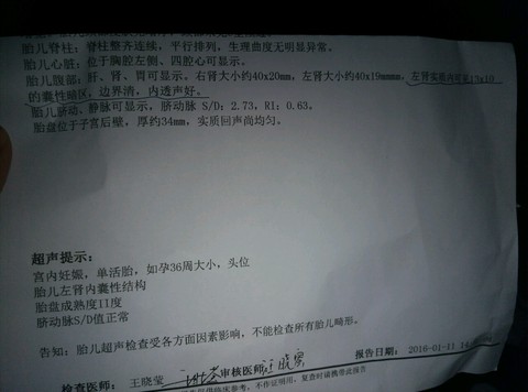 journal_insert_pic_386582853