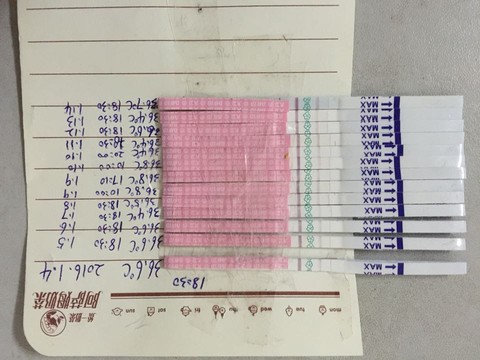 journal_insert_pic_388049097