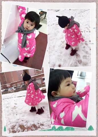 journal_insert_pic_388170195