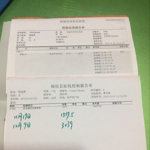 journal_insert_pic_388043506