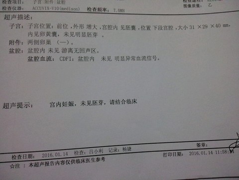 journal_insert_pic_388842134