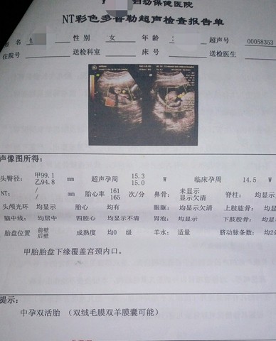 journal_insert_pic_388945376
