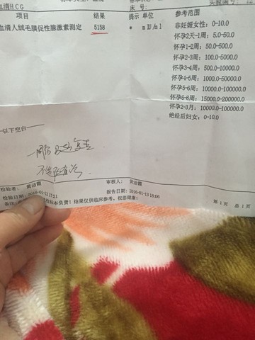 journal_insert_pic_389355442
