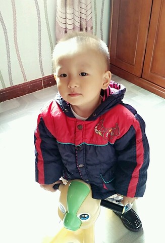 journal_insert_pic_389823713
