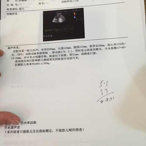 journal_insert_pic_390318885