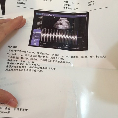 journal_insert_pic_390318873