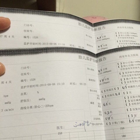 journal_insert_pic_391185082