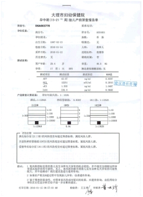 journal_insert_pic_390967153