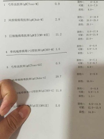 journal_insert_pic_390896025