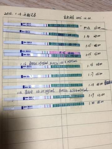 journal_insert_pic_391498240