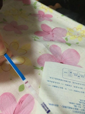 journal_insert_pic_391400059