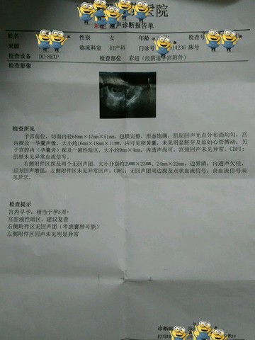 journal_insert_pic_391638076