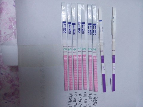 journal_insert_pic_391605508