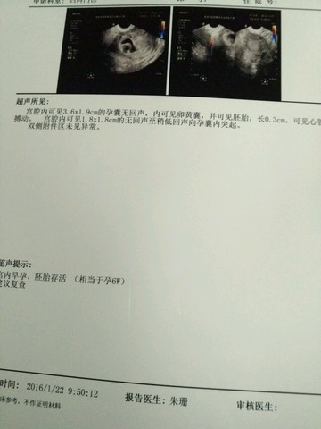 journal_insert_pic_392640631