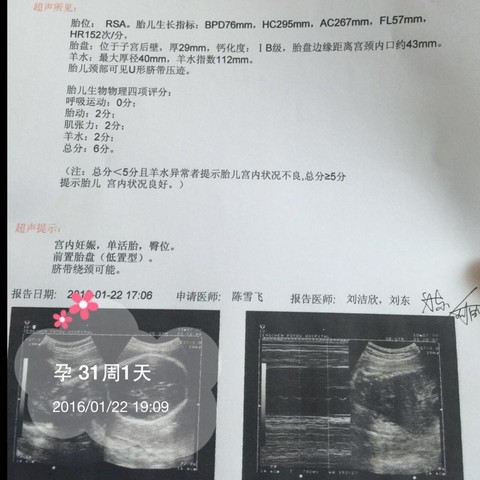 journal_insert_pic_392903168