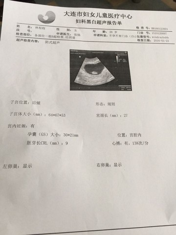 journal_insert_pic_393604387