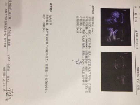 journal_insert_pic_394480313