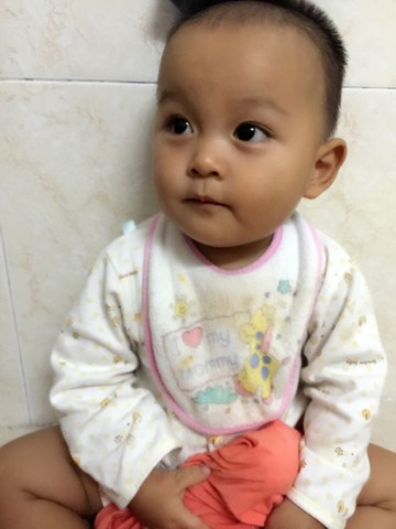 journal_insert_pic_395347945