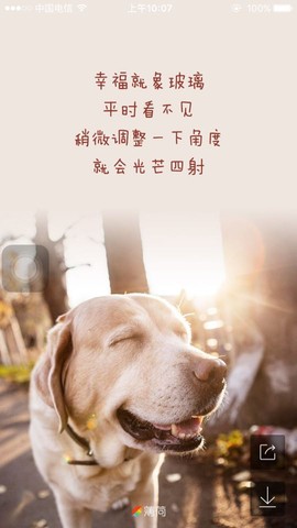 journal_insert_pic_395058041