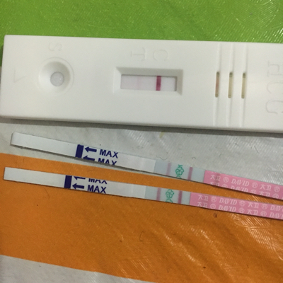 亲们,这是怀孕的显示么?