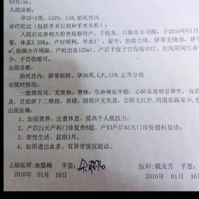 journal_insert_pic_396216839