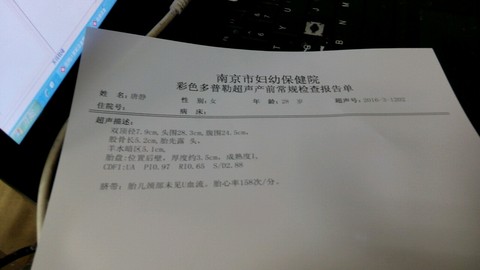journal_insert_pic_397137861